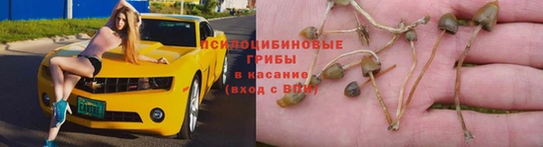 мескалин Алексин