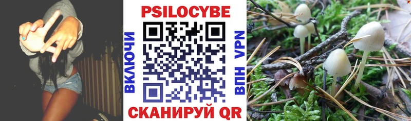 Псилоцибиновые грибы ЛСД купить наркоту Аткарск